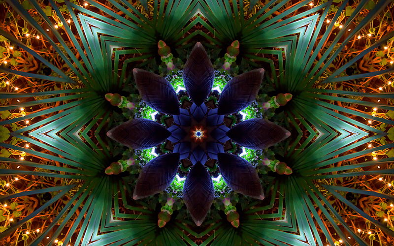 Illustration for article titled 7 Trippy Kaleidoscopes Made From Plain Photos